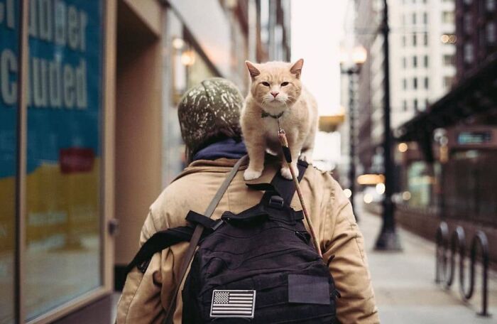 35 Brilliantly Timed Shots From The Decisive Moments Magazine That Capture Life At Exactly The Right Second