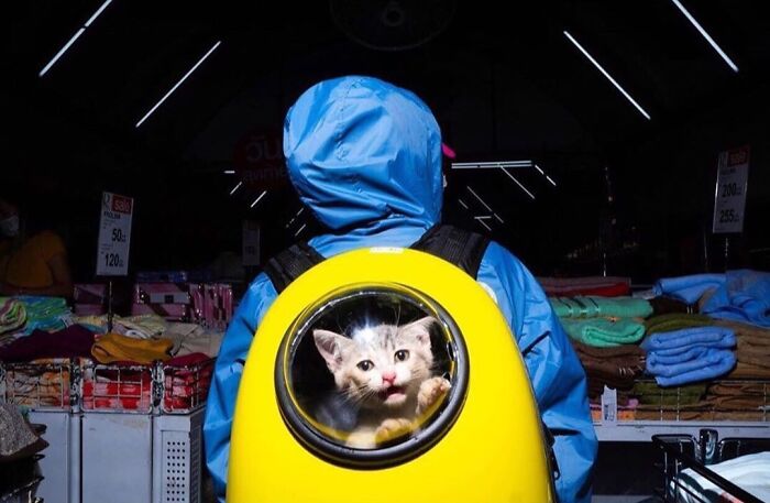 35 Brilliantly Timed Shots From The Decisive Moments Magazine That Capture Life At Exactly The Right Second