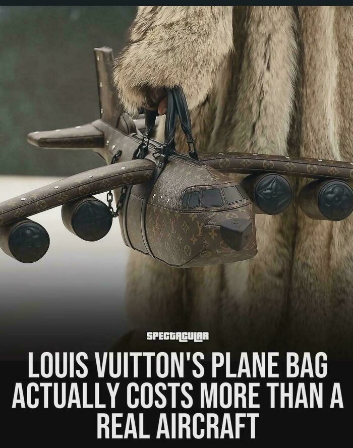 Luxury Louis Vuitton plane-shaped bag held by person in fur coat highlighting depressing posts on stupidity today.
