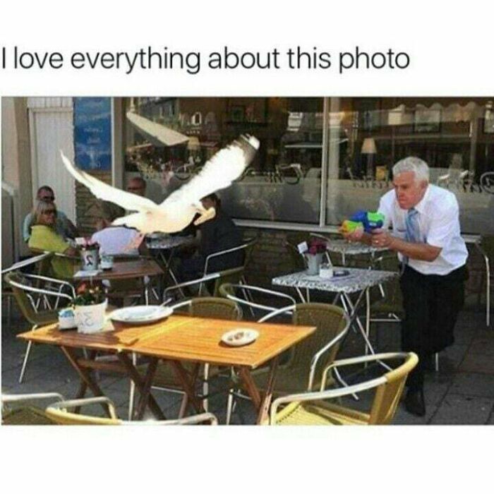 Man playfully spraying water gun at a bird in a cafe, a funny and lighthearted meme safe for work.