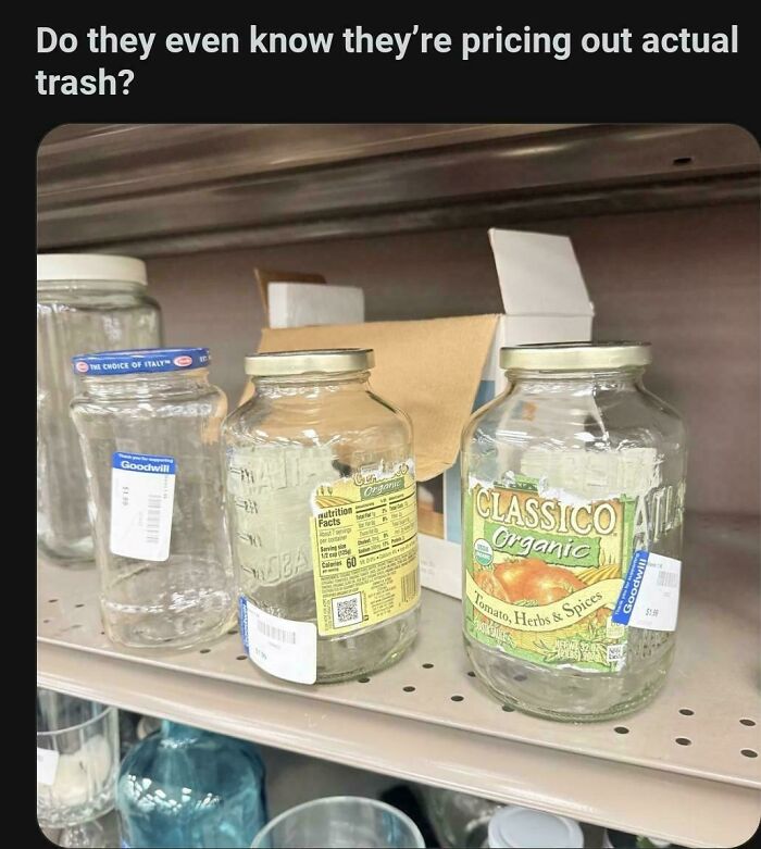 Empty glass jars with price tags on a thrift store shelf illustrating depressing posts about living in the stupidest time.
