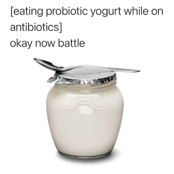 Funny safe-for-work meme showing a jar of probiotic yogurt with a spoon, humorously referencing antibiotics.