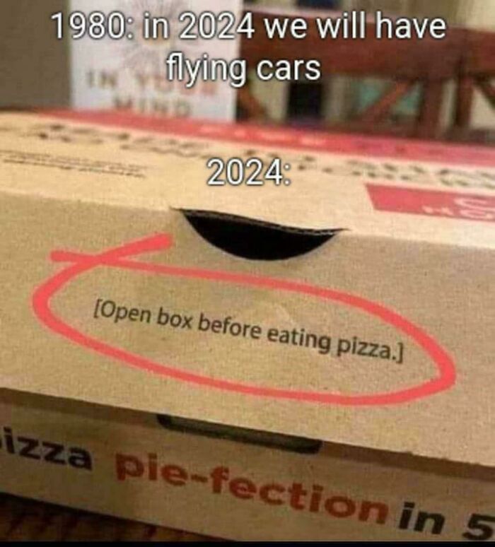 Pizza box with a red circle around confusing warning label, illustrating a depressing post about living in the stupidest time in history.