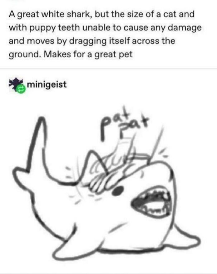 Sketch of a small, cute white shark with puppy teeth being gently petted, drawn by a Tumblr artist.