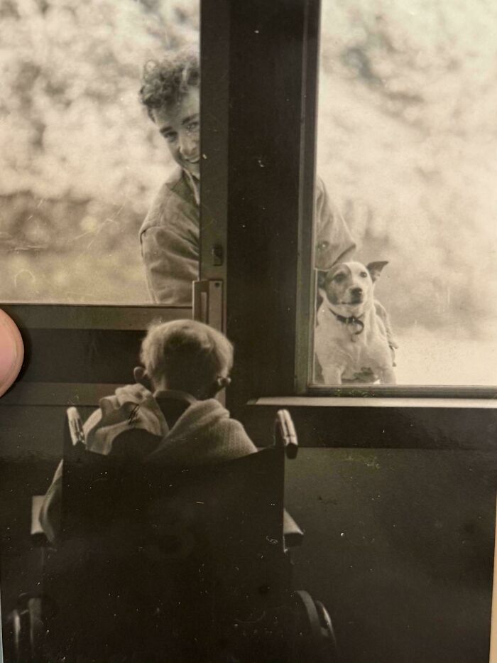 Black and white vintage photo showing a child in a wheelchair looking outside at a dog and a smiling man decades ago.