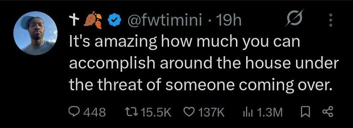 A tweet from @fwtmini reads: It's amazing how much you can accomplish around the house under the threat of someone coming over. Important Tweets from Black Twitter.