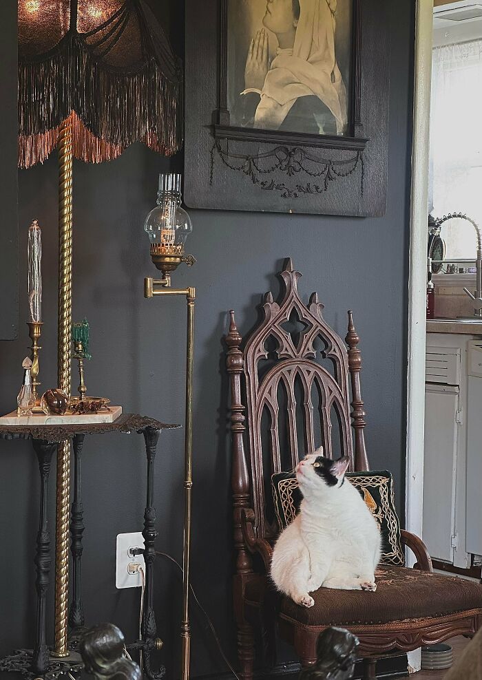 A cat sitting on a remarkable antique gothic-style wooden chair, part of a vintage-decorated room.