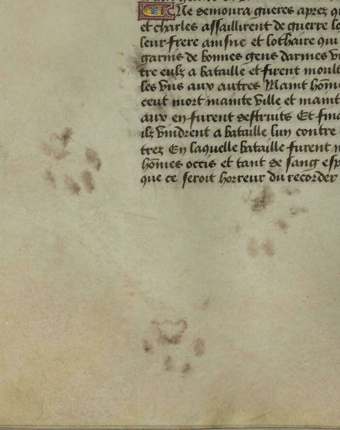Cat paw prints preserved on a page of an ancient manuscript, one of many fascinating historical finds