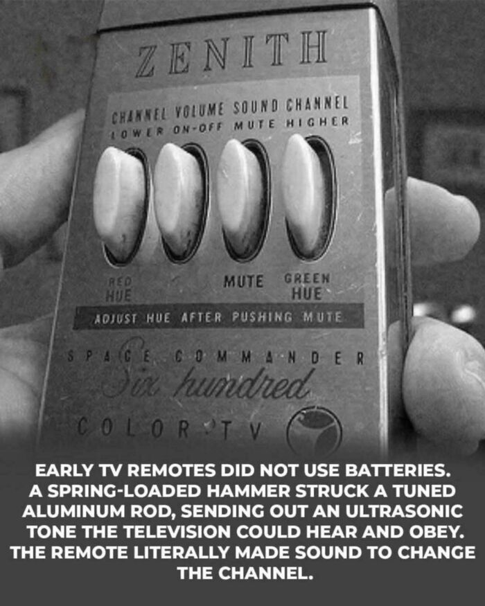 A hand holding an old Zenith Space Commander 600 color TV remote control, showcasing a fascinating historical photo.