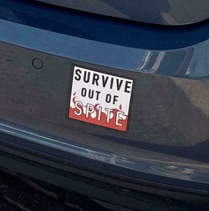 Funny bumper sticker that says "Survive Out Of Spite" with blood splatters on a car.