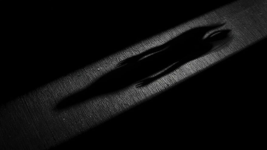 &ldquo;Perfectly Timed Photos That Look Too Good To Be True&rdquo;