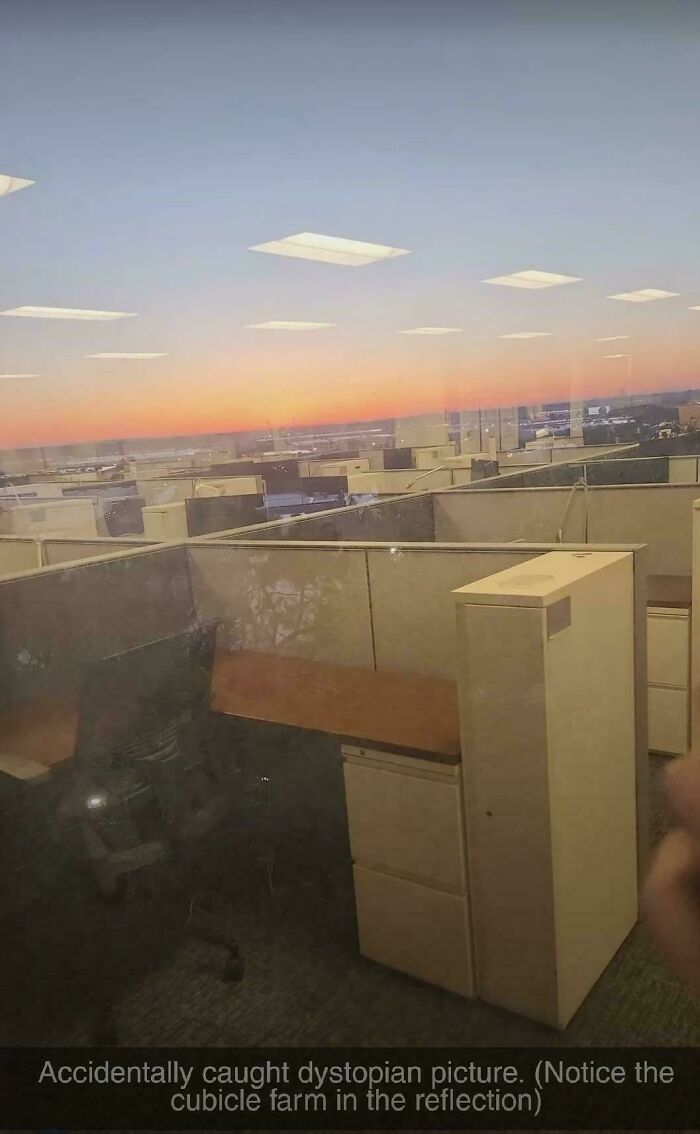 Office cubicles reflected in a window create a misleading and confusing photo that looks like a real-life glitch at sunset.