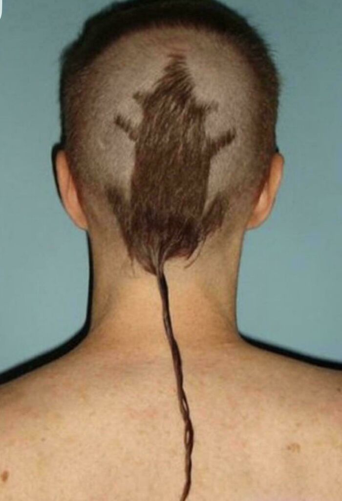 Rear view of a shaved head with a rat-shaped hair design on the back, considered one of the bad hair mistakes.