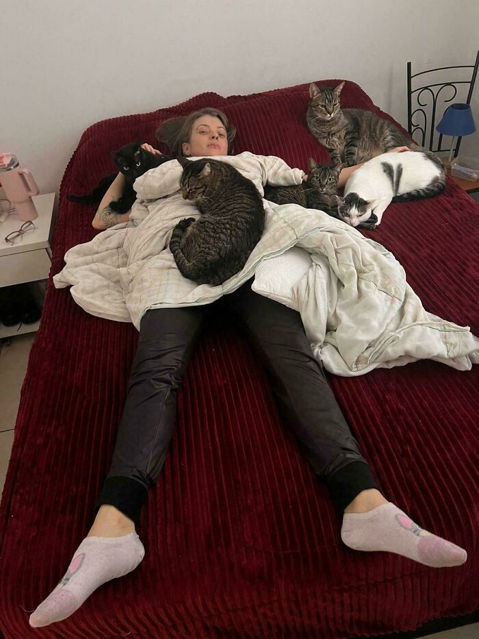 A person lying on a bed surrounded by multiple hilariously adorable cats, caught planning their next move.