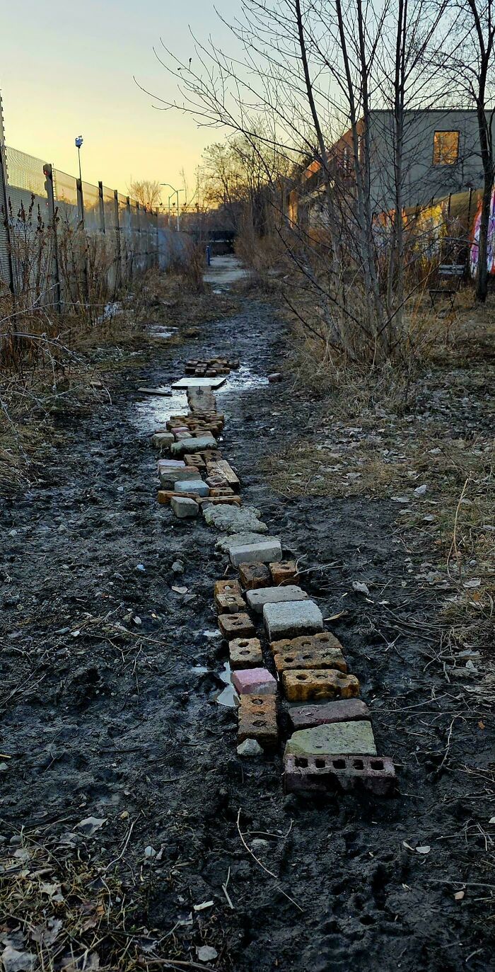 Urban Improvement In The Parkdale Area
