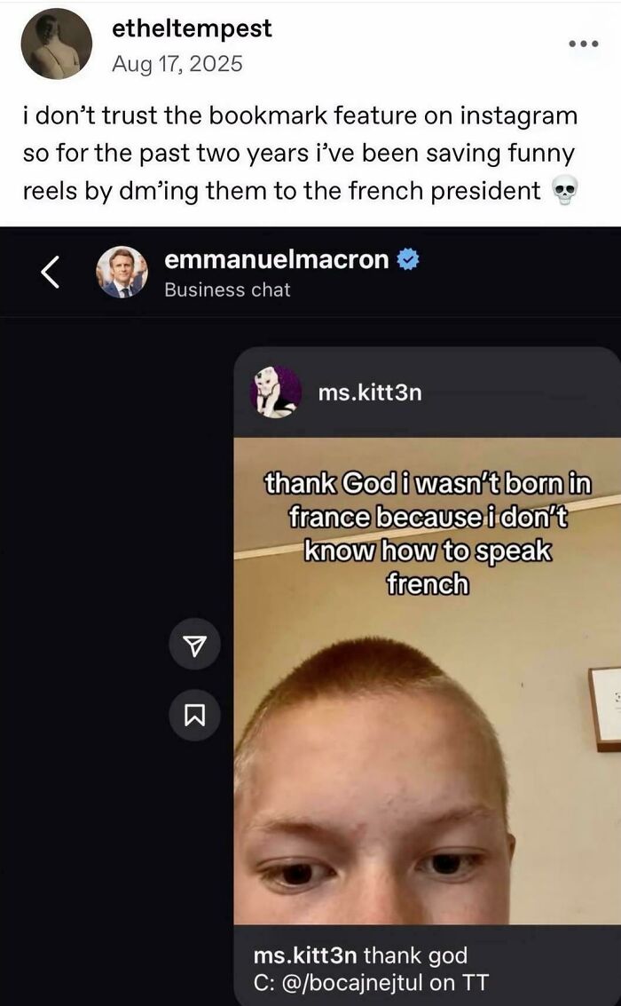 A screenshot of a Tumblr post showing a user's Instagram DMs to the French President, featuring a funny reel. This is a Tumblr gem.