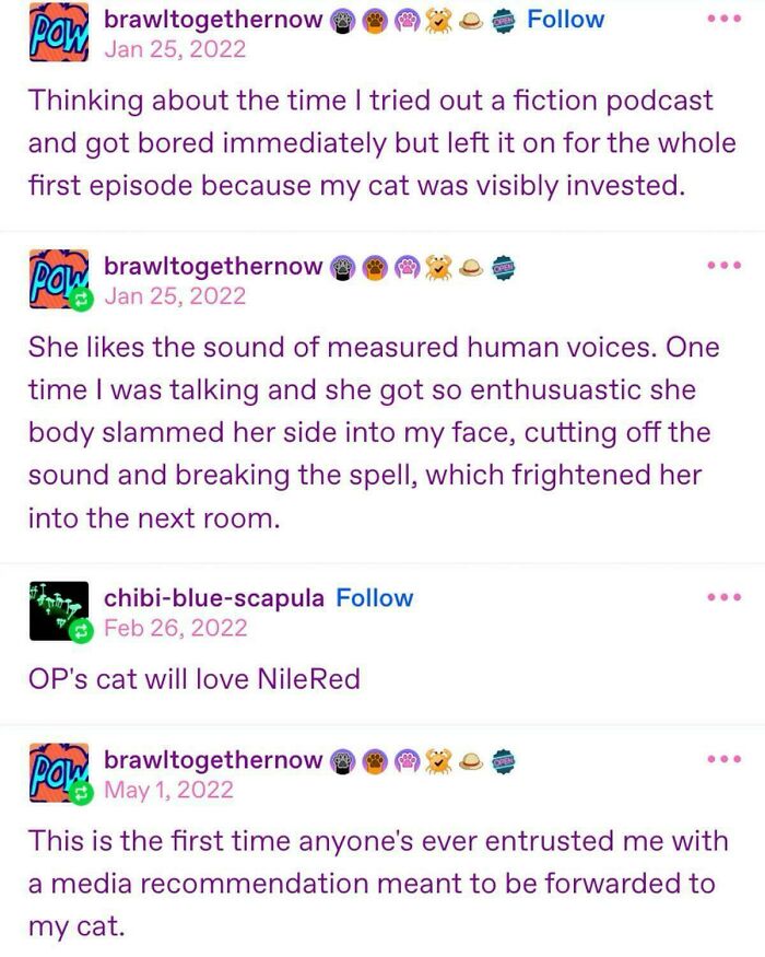 Wild Tumblr gems: A series of posts about a cat enjoying a fiction podcast and loving human voices.