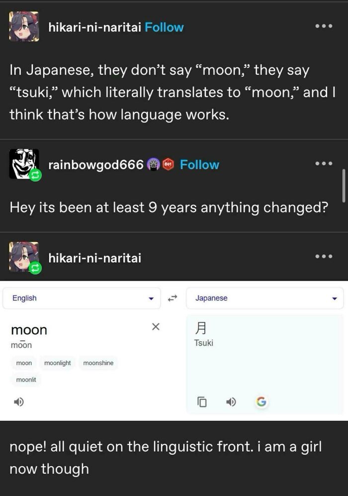 A Tumblr post about wild Tumblr gems and the Japanese word for moon, tsuki, with a translation search.