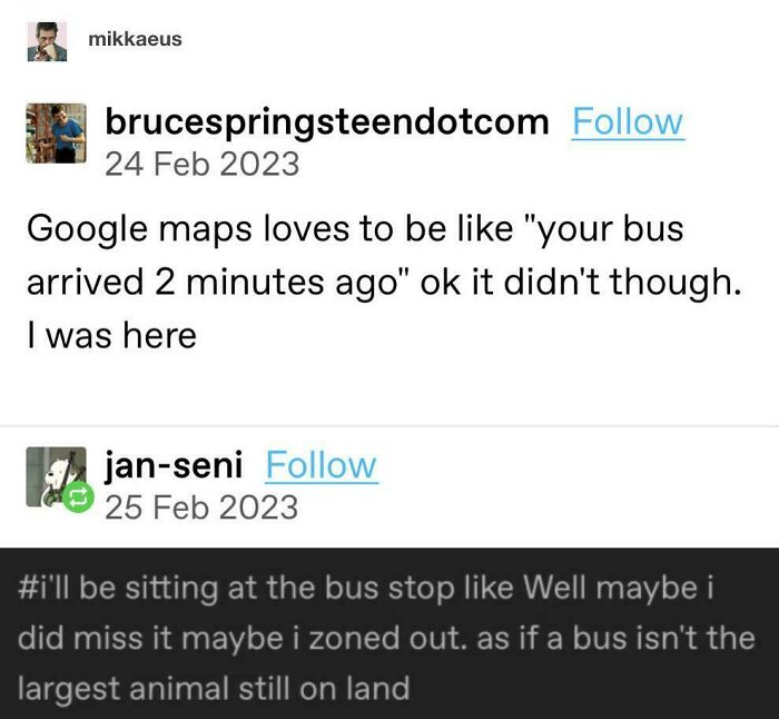 A Tumblr post featuring wild Tumblr gems, humorously complaining about Google Maps and missing the bus.