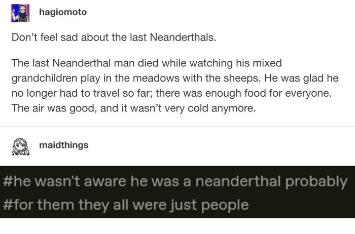 A heartwarming yet sad Tumblr gem about the last Neanderthals. The internet refuses to forget this picture.