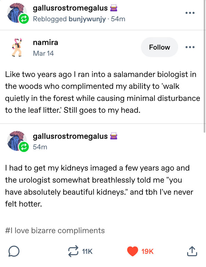 A Tumblr post about strange compliments, a wild Tumblr gem.