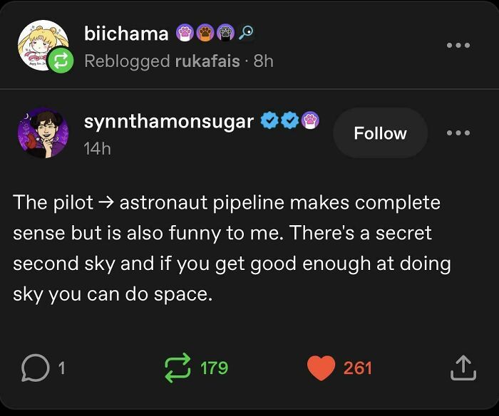 A screenshot of a Tumblr post about the pilot-astronaut pipeline, humorously suggesting a secret second sky before space. A funny Tumblr gem.