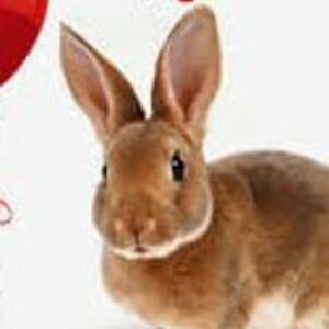 stacy_corr avatar