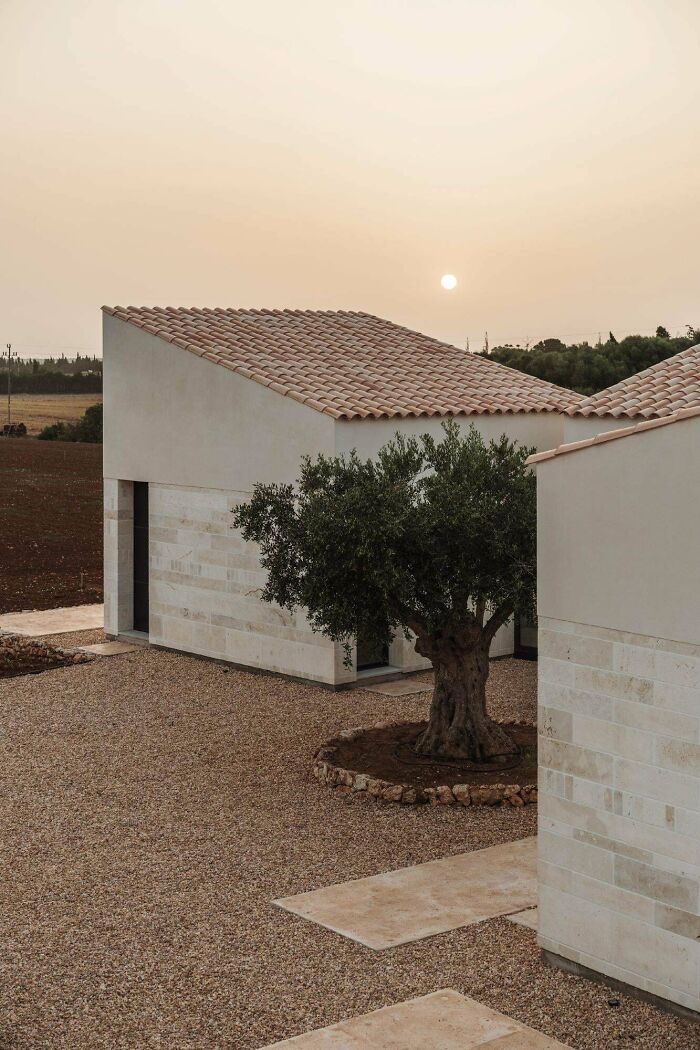 Abranaçar L’essència - Nora Studio - Mallorca, Spain (2023)