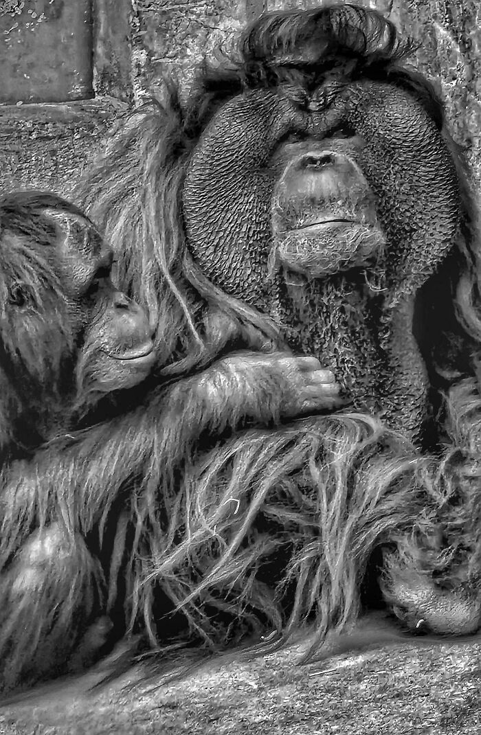 Mother And Child