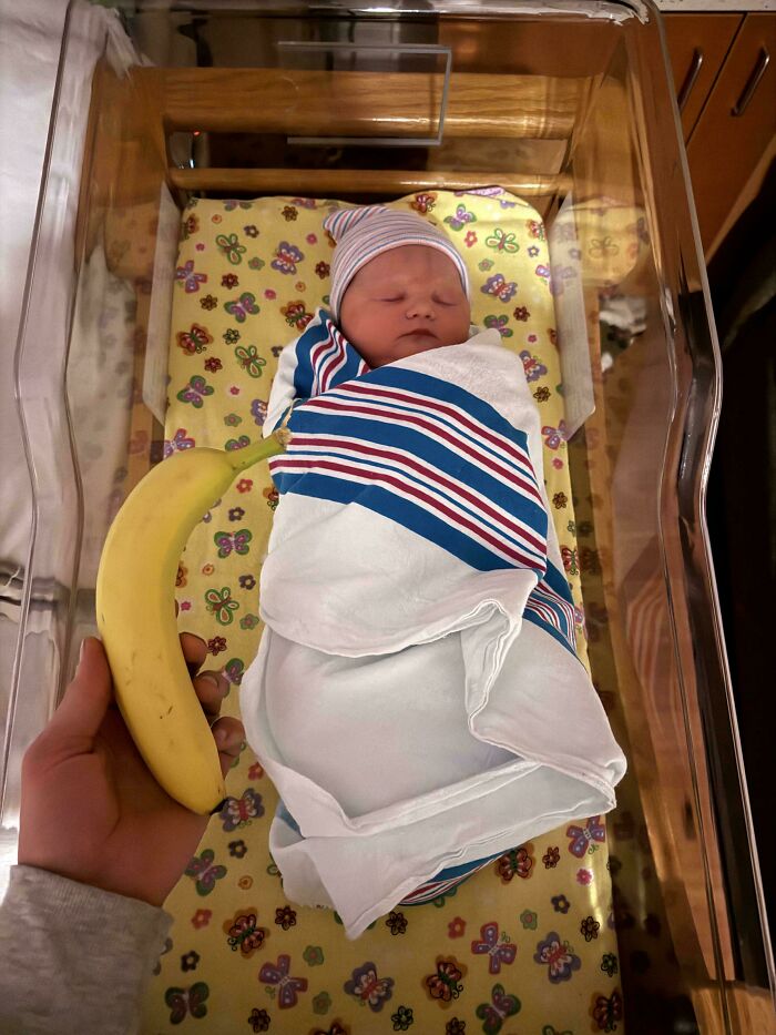 A newborn baby, wrapped in a blanket, in a hospital bassinet with a banana next to it for scale, from the Not Interesting community.