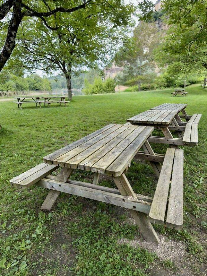 Empty picnic tables in a grassy park setting, from the Not Interesting Community.
