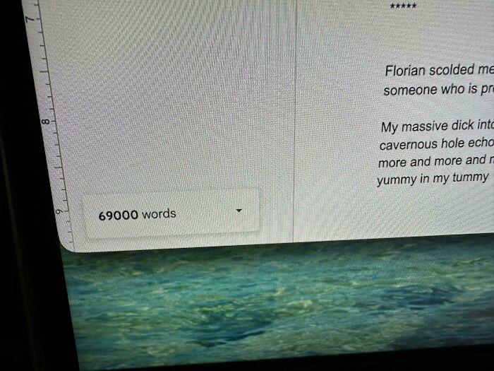 A computer screen displaying '69000 words', a picture from the Not Interesting community.
