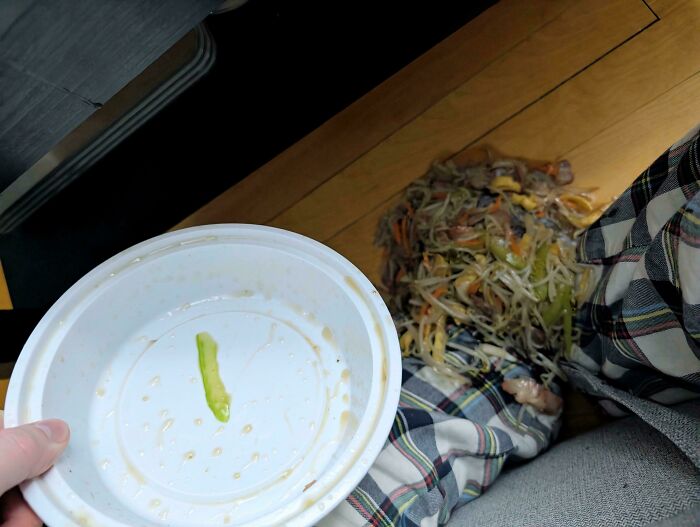 Spilled noodles and vegetables on a plaid surface next to an empty bowl, a scene from a not interesting community.
