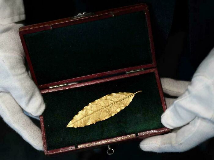 Hands in white gloves hold an open wooden box with a single historical golden leaf inside, a photo from days we will never experience.
