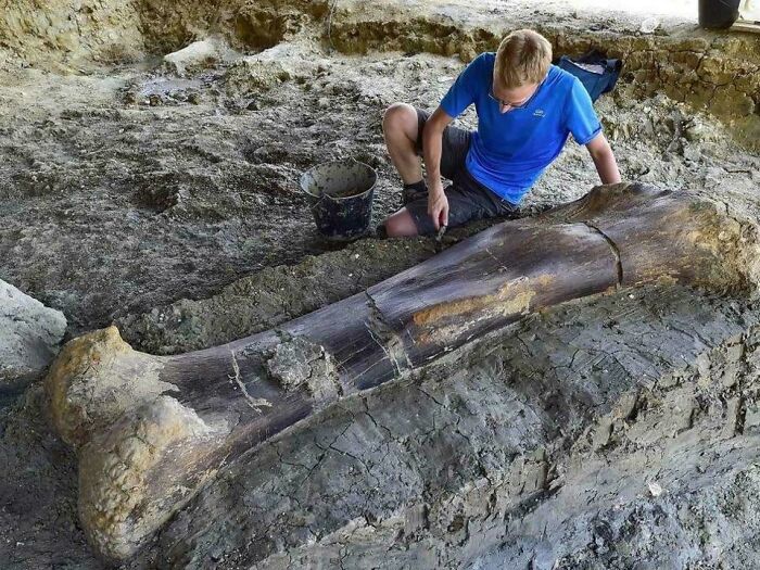 A man carefully excavates a large historical fossilized bone from the earth, reminding us of days we will never experience.