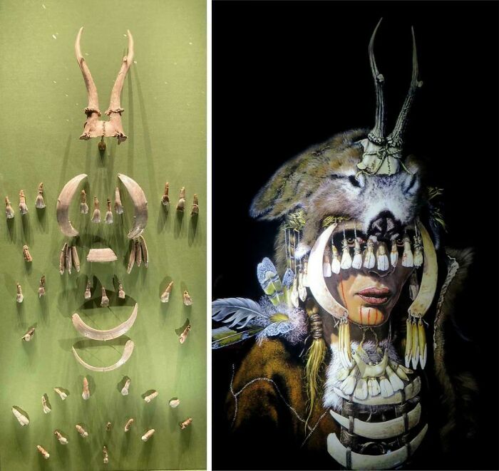 A split historical photo featuring an arrangement of animal bones and teeth, alongside an artistic rendering of a shaman.
