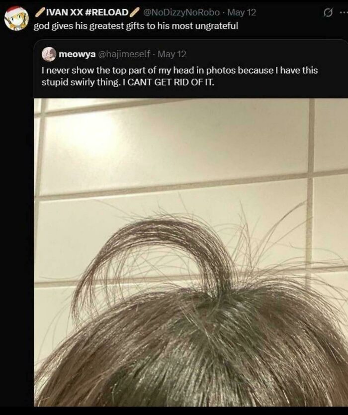 A close-up of hair with a prominent swirly thing, explaining the joke behind the internet post.