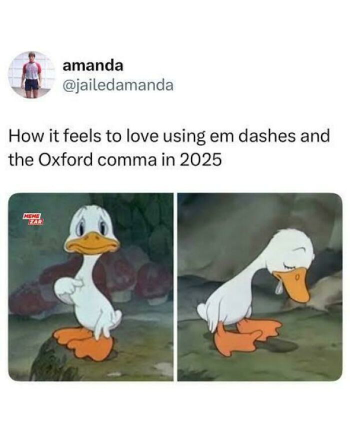 Meme featuring a duck expressing the feeling of loving em dashes and the Oxford comma, explaining the joke.