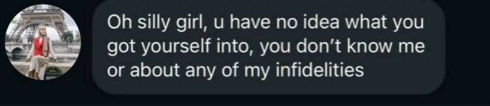 Funny internet moment screenshot of a text message about infidelity with a profile picture of a woman in Paris.