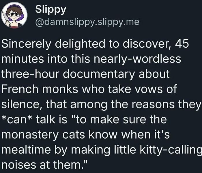 Tweet about a documentary on French monks taking vows of silence but talking to monastery cats, oddly specific and relatable.