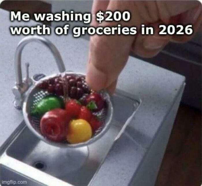 Miniature fruits being washed in a tiny sink, humorously illustrating life in America with expensive groceries in 2026.