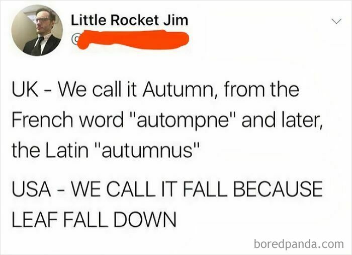 Screenshot of a social media post humorously comparing the UK term Autumn and the USA term Fall about life in America.