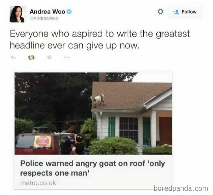 Tweet about the greatest headline with a meme of an angry goat on a roof, fitting safe-for-work funny memes.