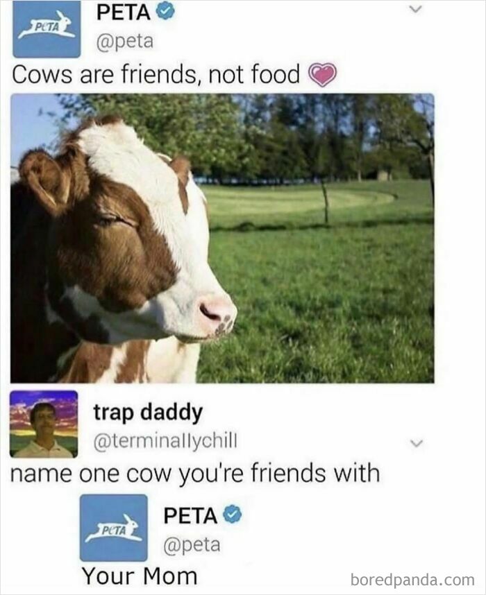 Funny safe-for-work meme featuring a cow and a playful Twitter exchange between PETA and a user.