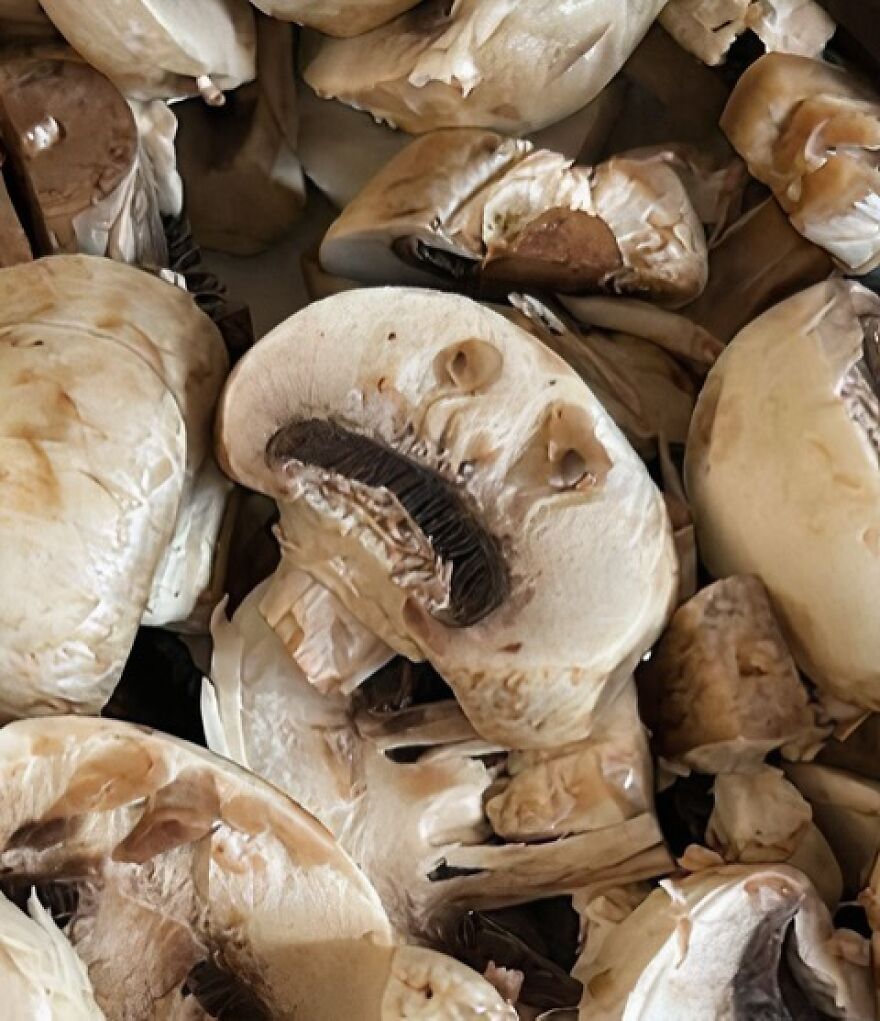 Close-up of sliced mushrooms showing pareidolia with a face-like pattern among fresh fungi pieces.