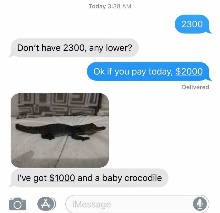 Text message negotiation showing a buyer offering $1000 and a baby crocodile, hinting at a gut warning moment.