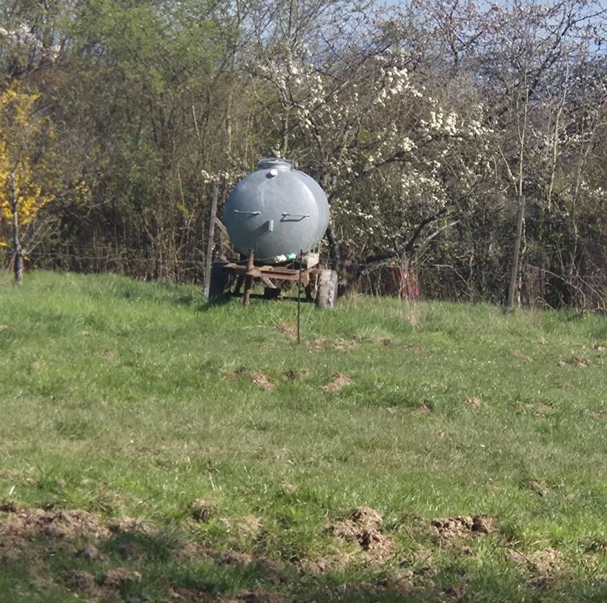 Metal tank in a grassy field resembling a sleepy face, an example of pareidolia captured outdoors near trees.