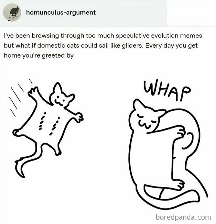 Speculative evolution meme featuring cats as gliders with a humorous drawing by a Tumblr artist.