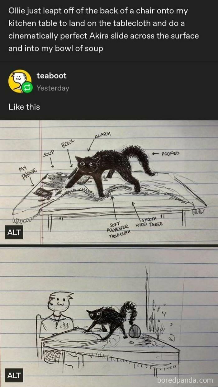 Sketches of a cat sliding on a tablecloth with labeled details in a drawing by a Tumblr artist making the internet better.
