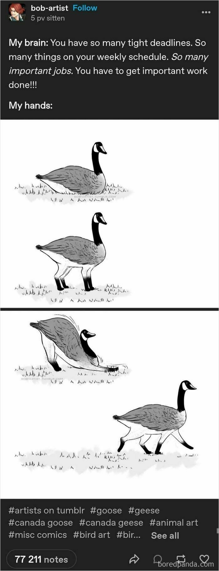 Comic showing a Canada goose drawing depicting procrastination by Tumblr artists making the internet better.